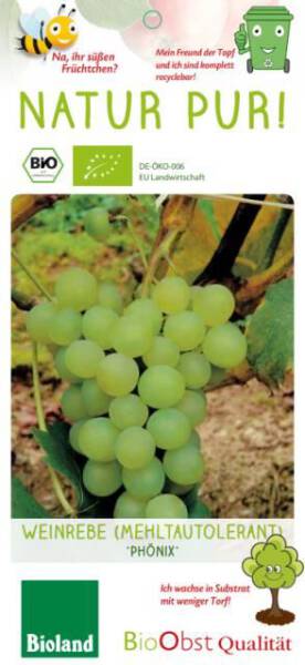 Bio Weinreben Stamm Phönix 7,5 L